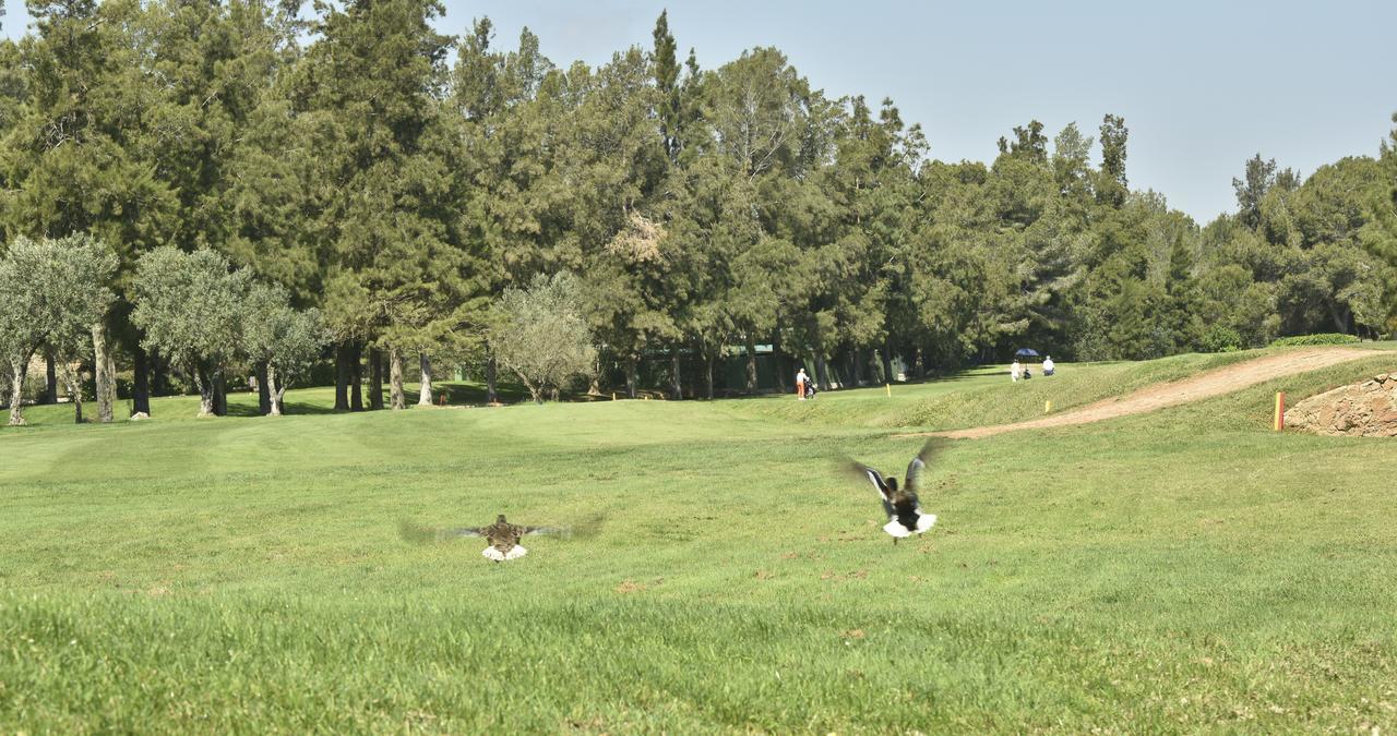 La Sella Premium Lifestyle Apartments Denia Kültér fotó